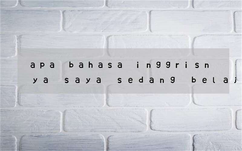 apa bahasa inggrisnya saya sedang belajar bahasa inggris